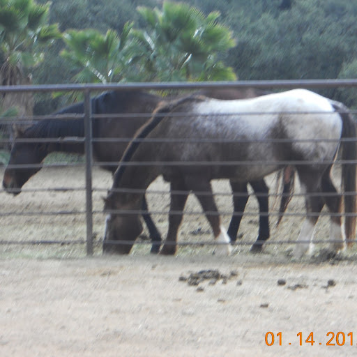 John Arnett Photo 17