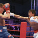 Mohammad Azizi Photo 13