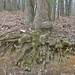 Floyd Root Photo 7