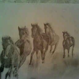 Thomas Hendricks Photo 12