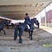Jennifer Rohan Photo 15