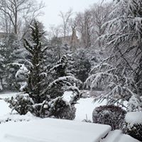 Mary Desimone Photo 14