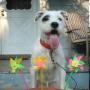 Nancy Welsh Photo 19