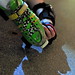 Paul Bechtel Photo 11