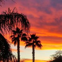 Debbie Doran Photo 25
