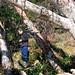 Curtis Rogers Photo 43