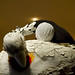 Michael Cantrell Photo 35
