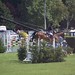 Michael Whittaker Photo 40