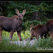 Robert Daugherty Photo 39