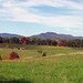Margaret Thacker Photo 14