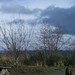 Susan Bainbridge Photo 16