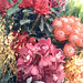 David Flowers Photo 34
