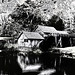 Patrick Ridge Photo 26