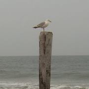 Rebecca Mcmillen Photo 9