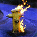 Donald Foreman Photo 25