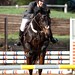 Tracy Robertson Photo 7