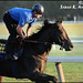 Delmar Wood Photo 3