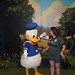 Melanie Disney Photo 12