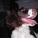 Lucy Dunn Photo 9