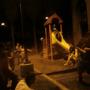 Jose Parada Photo 8