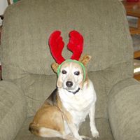 Gail Thompson Photo 20