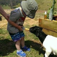 Eileen Simpson Photo 19