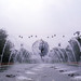 Donald Hoover Photo 18