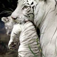 Teresa Anglin Photo 17