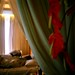 Lan Mu Photo 16