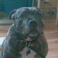 Jayne Todd Photo 10