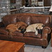 Ruthie Long Photo 9
