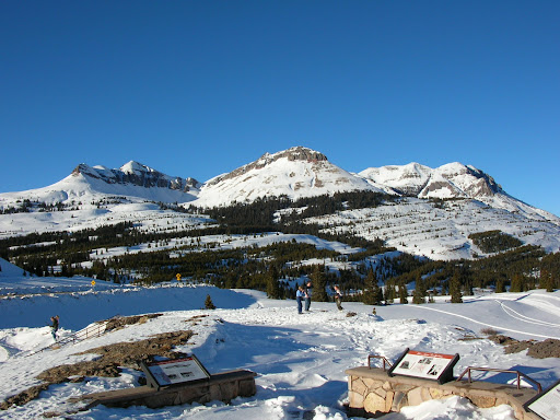 David Dobbs Photo 31