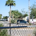 Carol Ray Photo 32