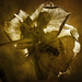 Carolyn Strong Photo 17