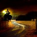 Virginia Groves Photo 7