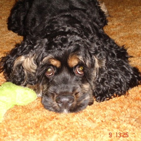 Kathy Arnett Photo 6