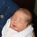 Vicki Webb Photo 45