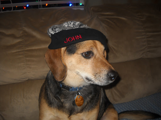 John Tracy Photo 42