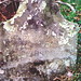 Ann Patterson Photo 26