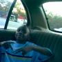 Antonio Cook Photo 25