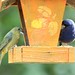 Debra Bunting Photo 3