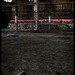 Martin Graf Photo 37