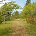 Catherine Huff Photo 29