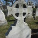 Alexander Webster Photo 35