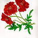 Sandra Wright Photo 41