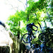 Josh Wall Photo 15