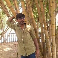 Darshan Pandya Photo 10