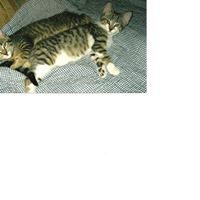Arlene Welsh Photo 14