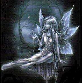 Angel Adams Photo 18