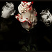 Renay White Photo 15
